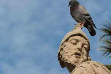 The baroque statue with pigeon
