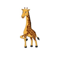 Obraz premium Cute Giraffe walking around