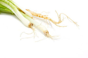 Root of Spring onion and coriander isolated on white.