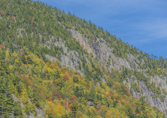 Fall colors on a cliff.  