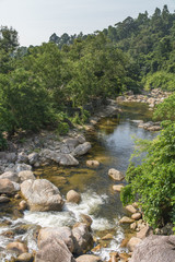 River and forrest rocks with visible movement and blur of the wa