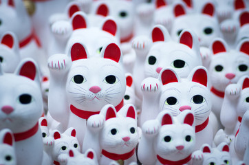 Panele Szklane  Świątynia Goutokuji Kiwający kot, tokio, japonia