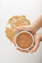 red rice hold by hand studio shot