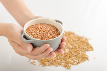 red rice hold by hand studio shot