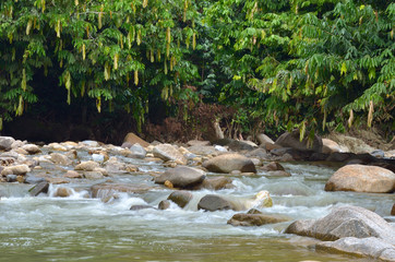 Janda Baik river , Malaysia..