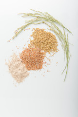 Three variety of rice: wild rice, red rice, and white rice. Shal