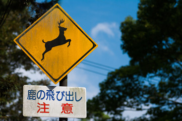 Deer Signboard（鹿の飛び出し注意看板）