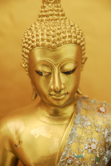 Gold Buddha close up portrait plastic wrap in yellow background