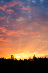 Sunrise over forest sun rays