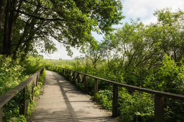 wooden path with rails