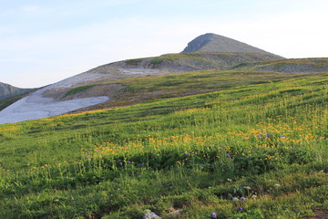 Караташский перевал, горная тундра. Кузнецкий Алатау