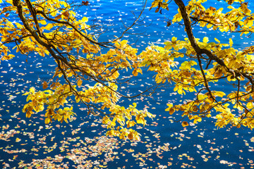 Obraz na płótnie Canvas Herbst Wasser