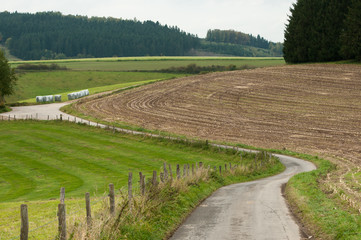 Feldweg_Landschaft_Sauerland