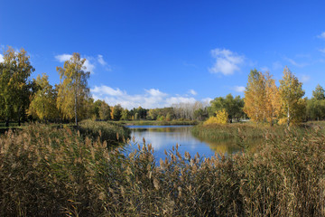 Fototapeta na wymiar Autumn landscape - pond in the park