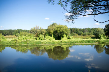 Fototapeta na wymiar Green Forest and River