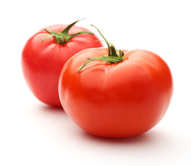 Fresh red tomatoes