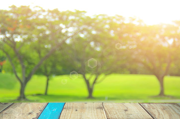 Blur park abstract background.