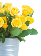 bouquet of fresh roses