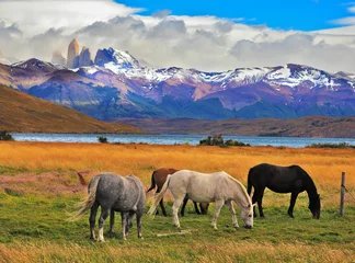 Papier Peint photo Lavable Chevaux Paysage impressionnant au Chili