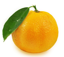 Tangerine with leaves