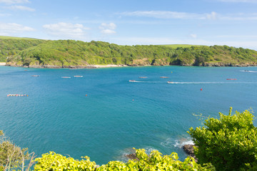 Devon coast Salcombe England uk in summer with pilot gig boats and blue sea and sky