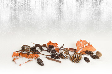 Neuschnee Winterzeit im Wald