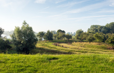 Fototapeta na wymiar Colorful Dutch rural landscape in summertime