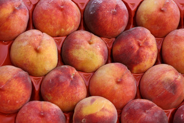 Fruits on market