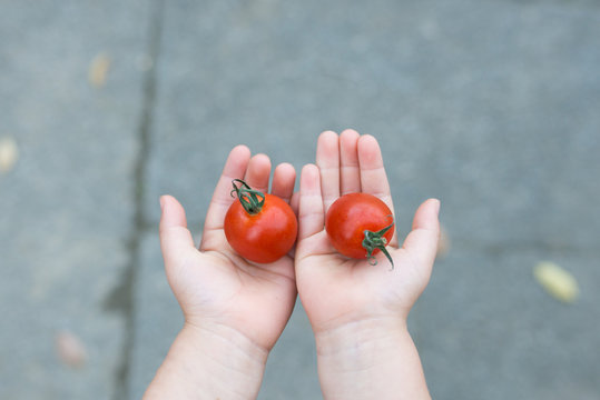 トマトを持った子供の手