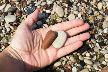 The female hand holds couple of stones of pebble

