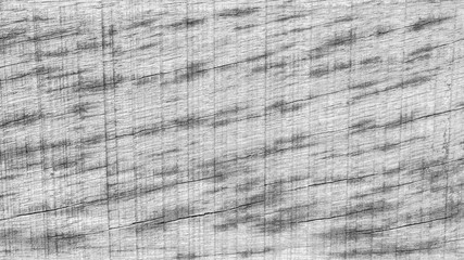 decay wood, black and white background