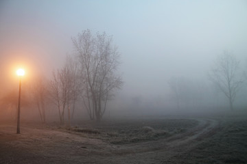 Obraz na płótnie Canvas Foggy morning 