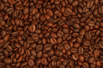 Coffee Beans  