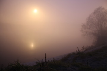 Foggy morning 