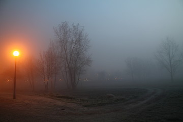 Foggy morning 