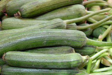 The green zucchini