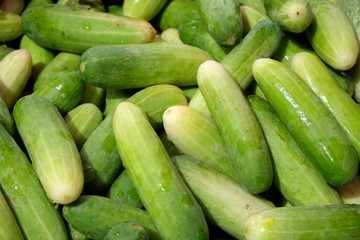 The green cucumber