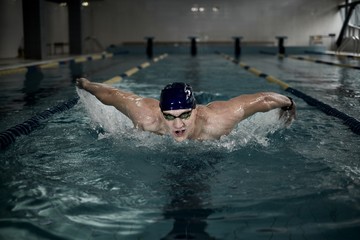 Sportsman swims in a swimming pool