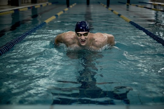 Sportsman swims in a swimming pool