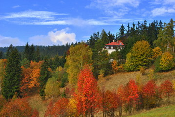 Fototapeta Jesienny pejzaż obraz