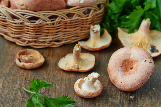 Autumn fresh mushrooms in basket, rustic wood background