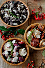 Assorted collection of fresh edible wild mushrooms harvested in autumn for use as ingredients in cooking, top view