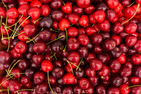 Red Cherries.  Cherry selection. ripe berries cherries