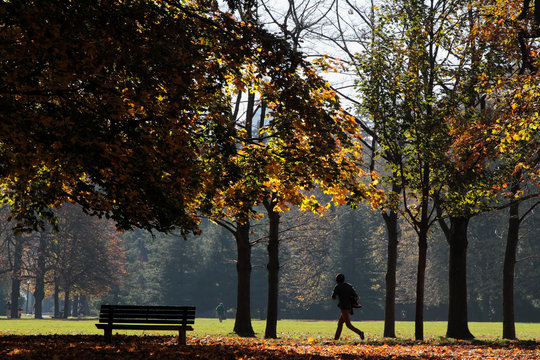 Le Parc de la T&ecirc;te d'Or &agrave; Lyon est un des plus grands parcs urbains d'Europe