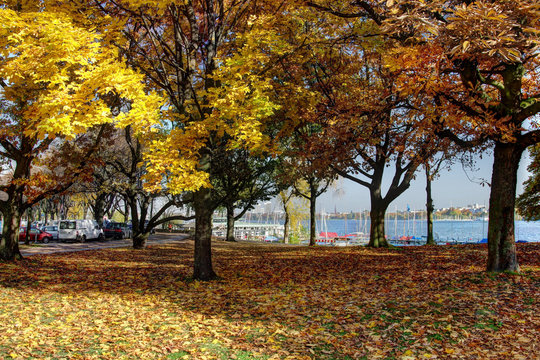 Hamburg - Aussenalsterufer und Alsterpark