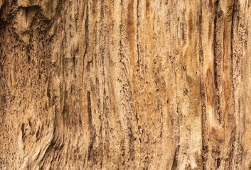 macro timber texture