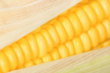 abstract beautiful corn
