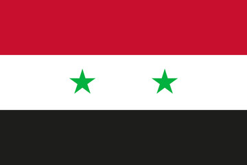 National flag of Syrian Arab Republic (Syria) in official colors - 95324160