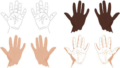 Right and left hands with lines of life, health, success, career