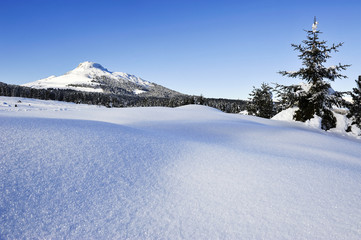 Fototapeta premium Paesaggio innevato